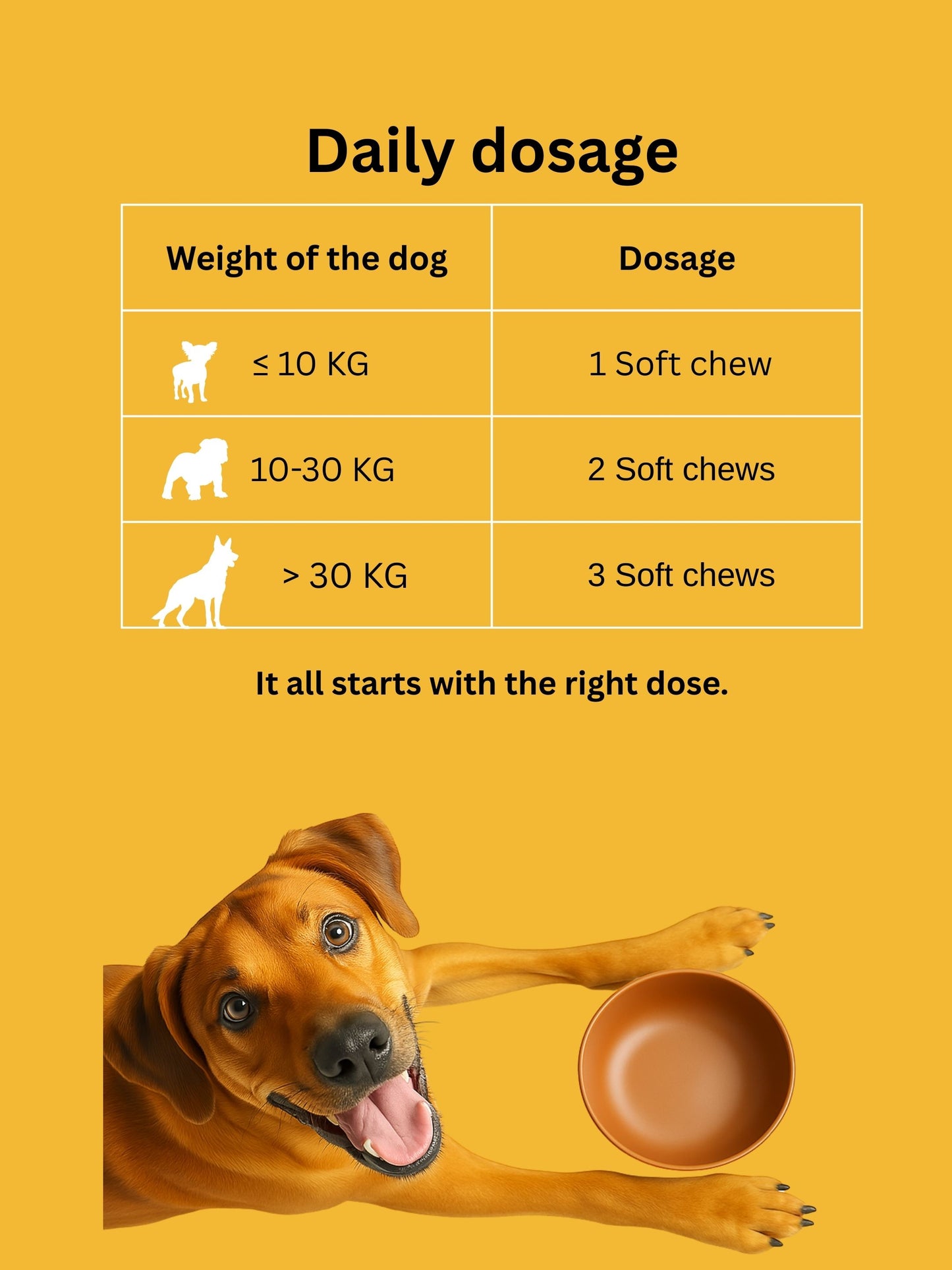 Dr. Flex - 8in1 Multivitamin Complex Chews for Dogs
