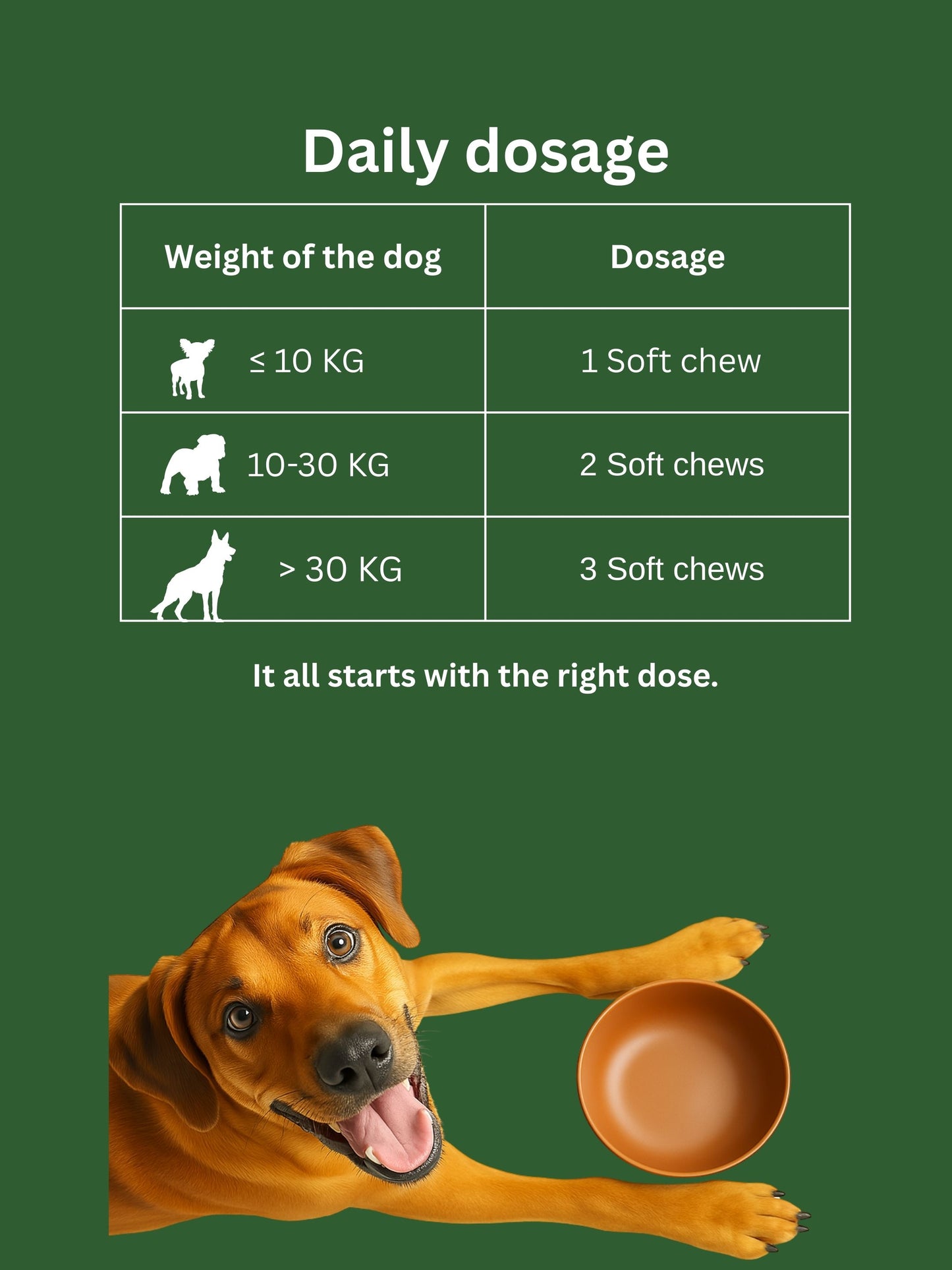 Dr. Flex - Probiotic & Gut Health Chews for Dogs