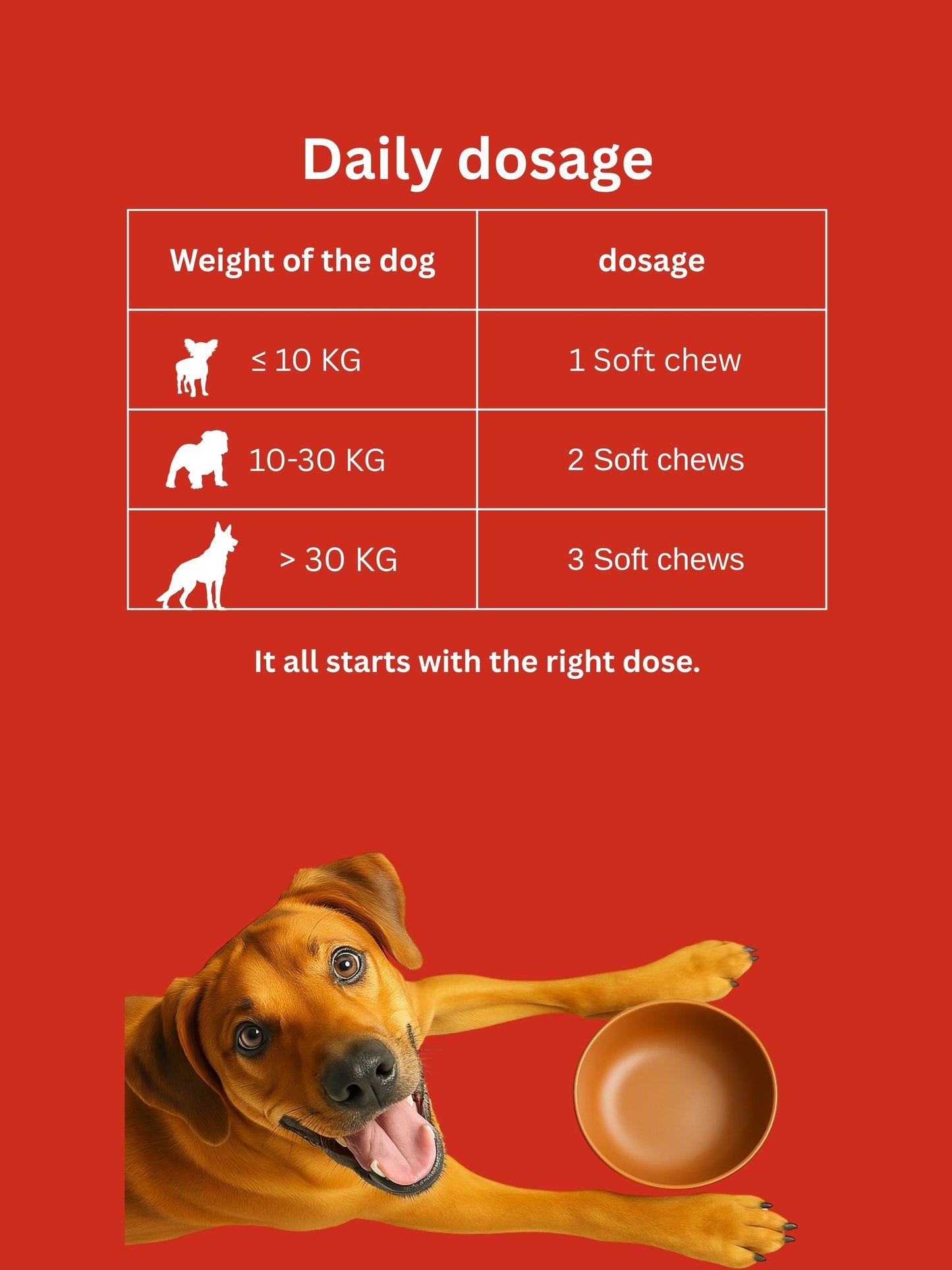 Dr. Flex - Mobility Hip & Joint Chews for Dogs