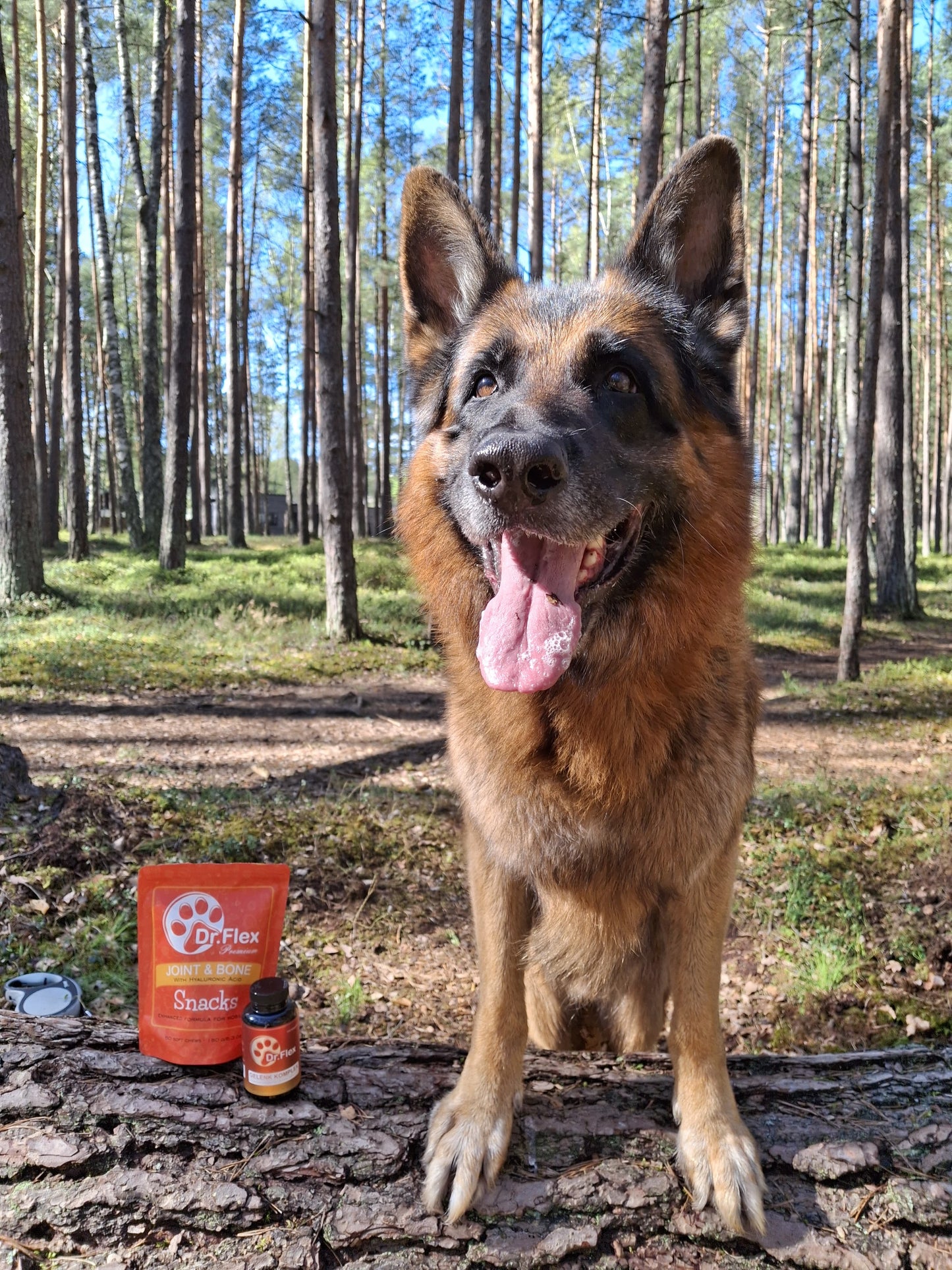Dr. Flex - Hip & Joint Support Capsules for Dogs