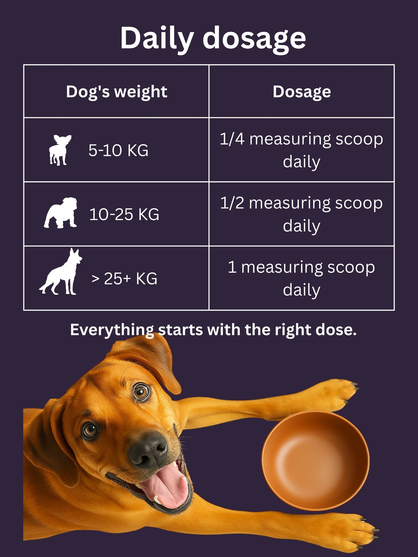 Dr. Flex - Collagen & Vitamin B Complex for Dogs
