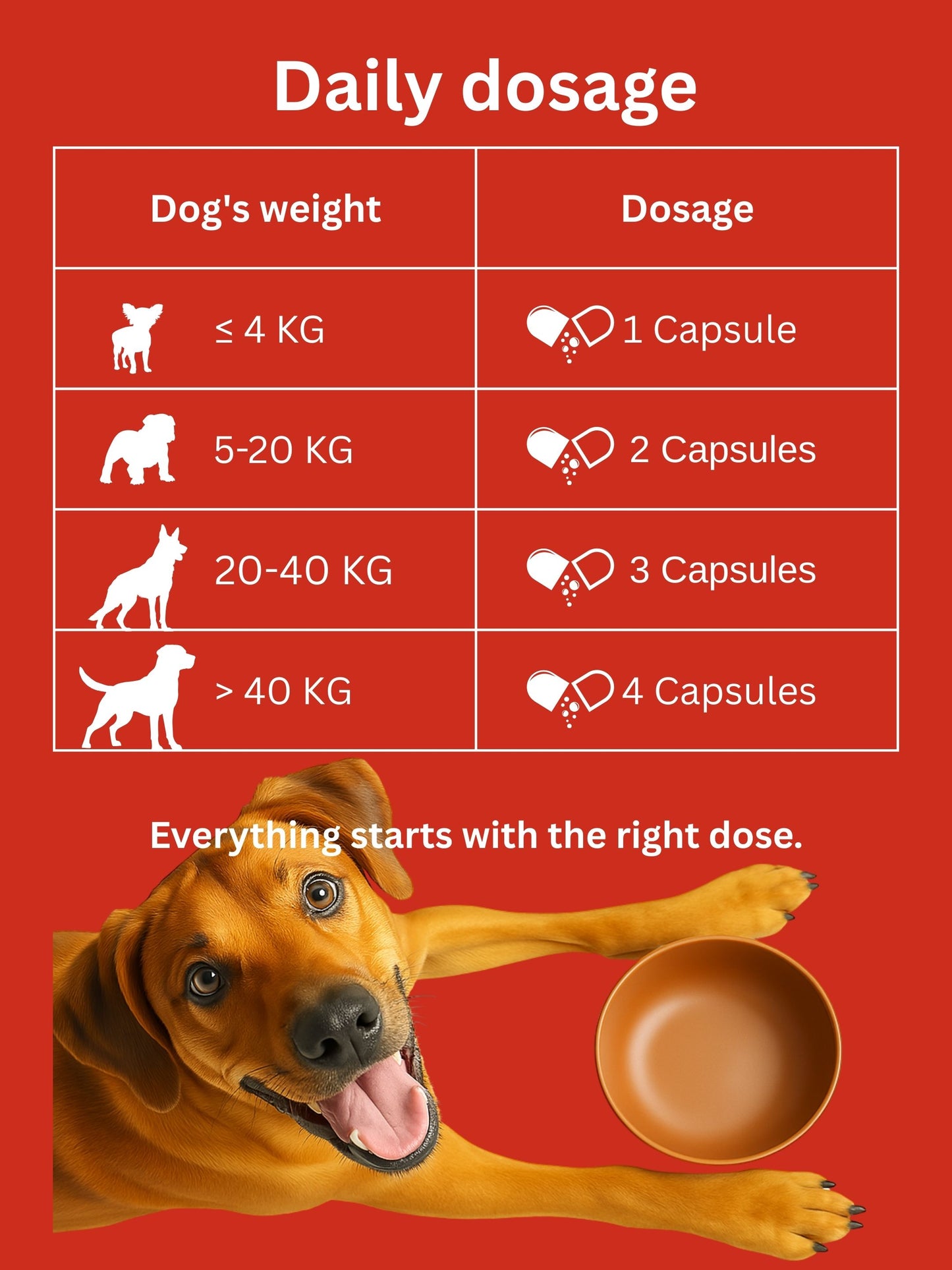 Dr. Flex - Hip & Joint Support Capsules for Dogs