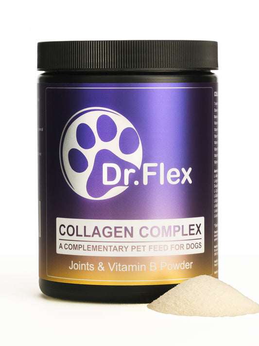 Dr. Flex - Collagen & Vitamin B Complex for Dogs