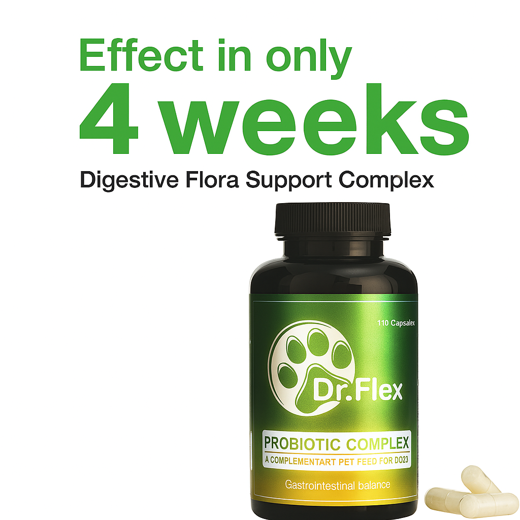 Dr. Flex - Probiotics & Digestive Care for Dogs