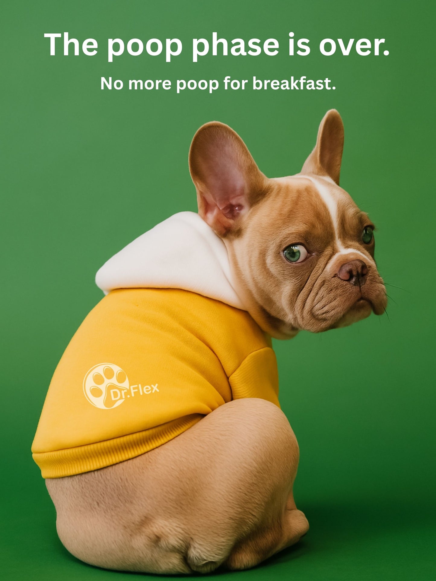Dr. Flex - Probiotics & Digestive Care for Dogs