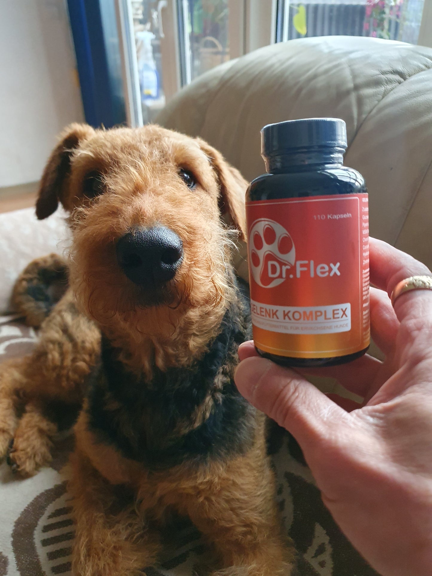 Dr. Flex - Hip & Joint Support Capsules for Dogs