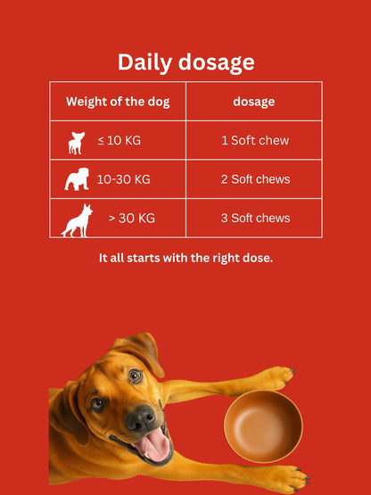 Dr. Flex - Mobility Hip & Joint Chews for Dogs