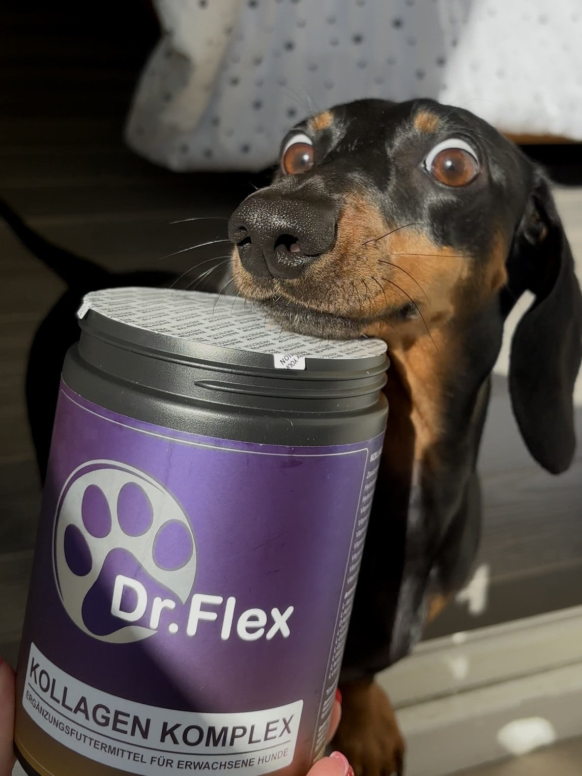 Dr Flex dog supplements