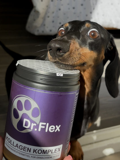 Dr. Flex - Collagen & Vitamin B Complex for Dogs