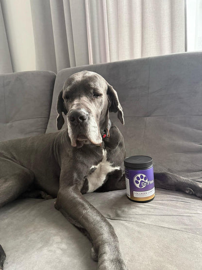 Dr. Flex - Collagen & Vitamin B Complex for Dogs