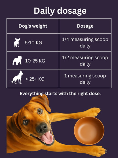 Dr. Flex - Collagen & Vitamin B Complex for Dogs