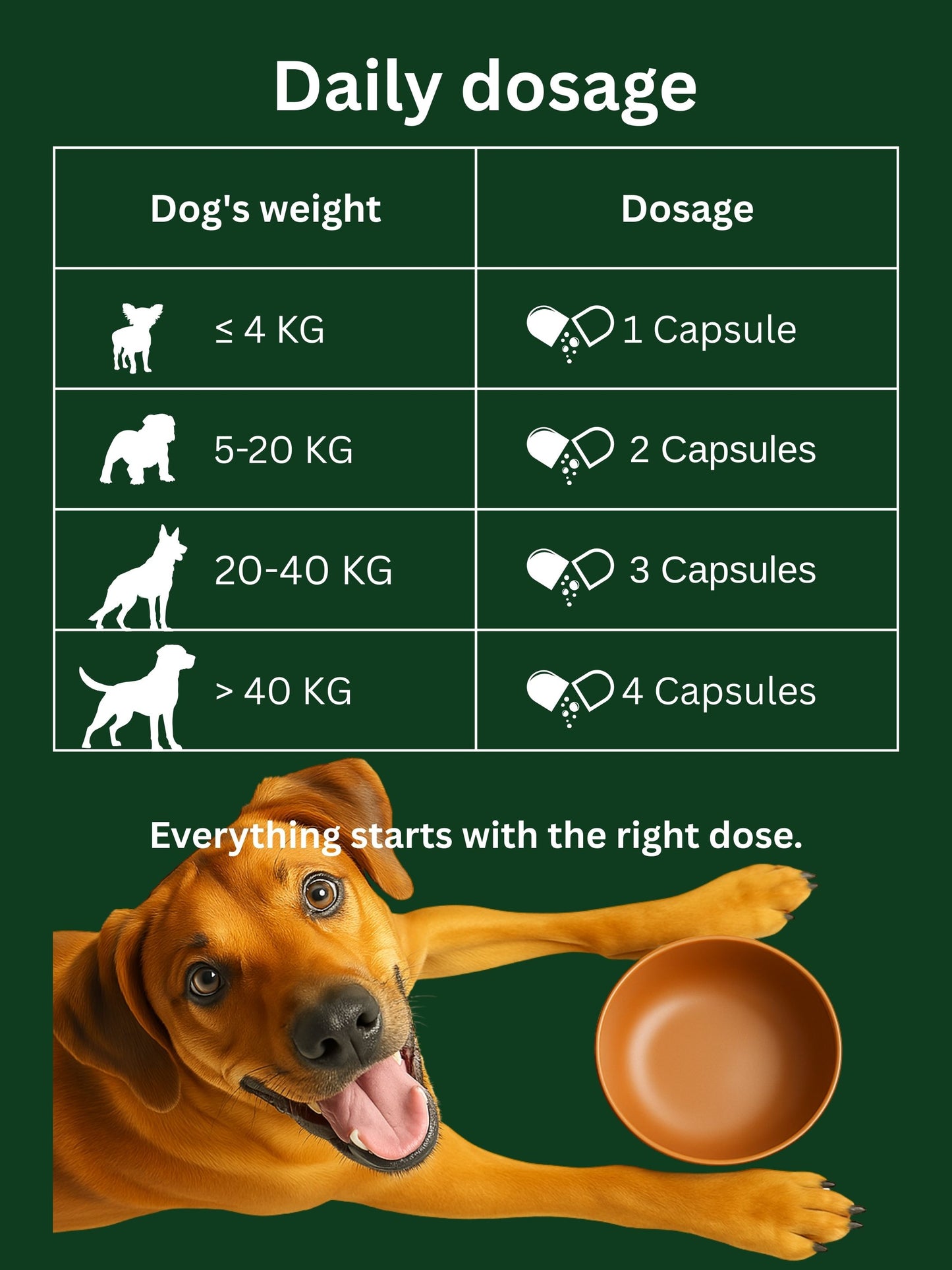 Dr. Flex - Probiotics & Digestive Care for Dogs