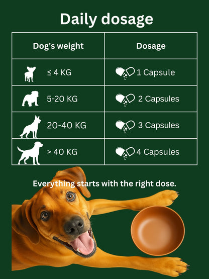 Dr. Flex - Probiotics & Digestive Care for Dogs