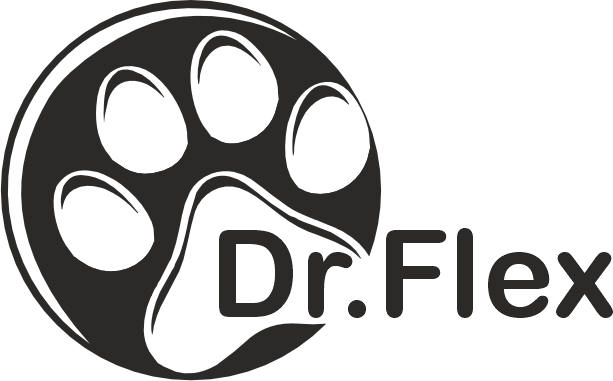 Dr Flex logo