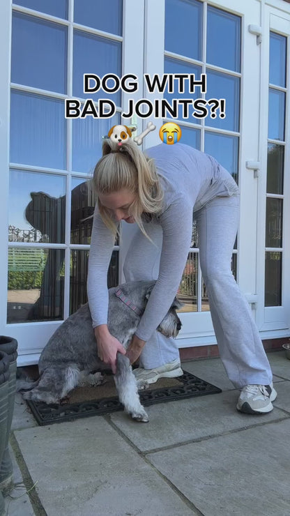 Dr. Flex - Mobility Hip & Joint Chews for Dogs