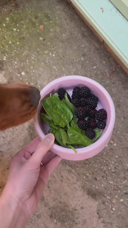 Dr. Flex - Collagen & Vitamin B Complex for Dogs